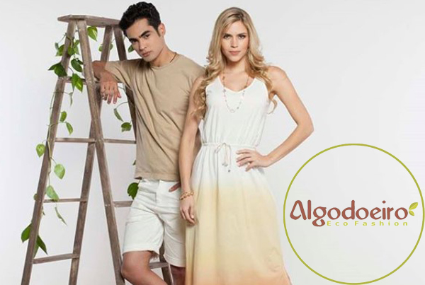 Algodoeiro